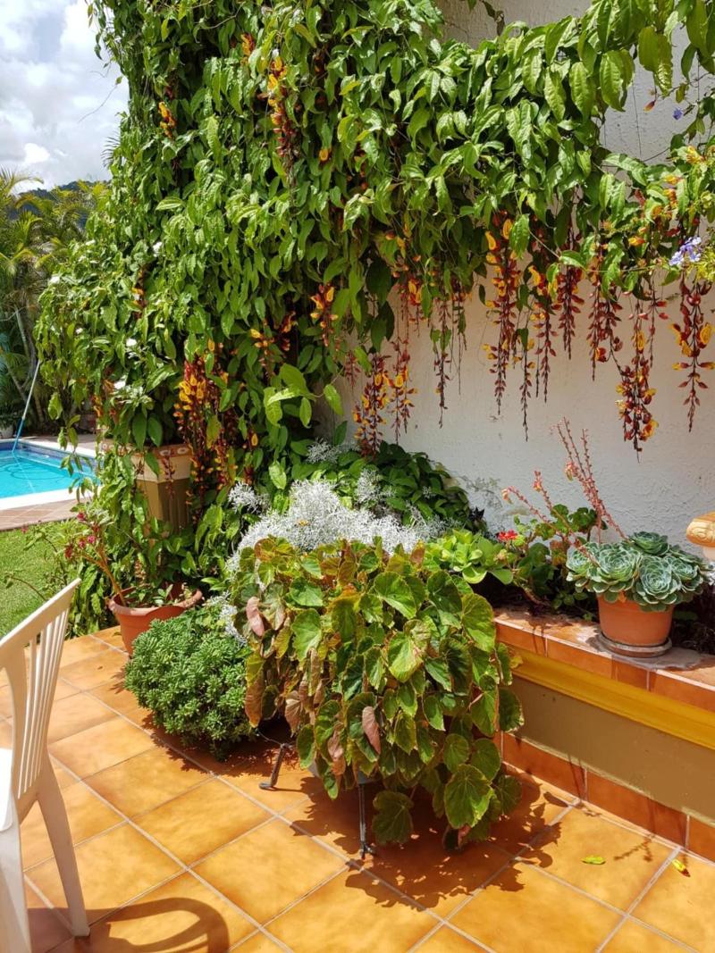Perla Maya Hotel image