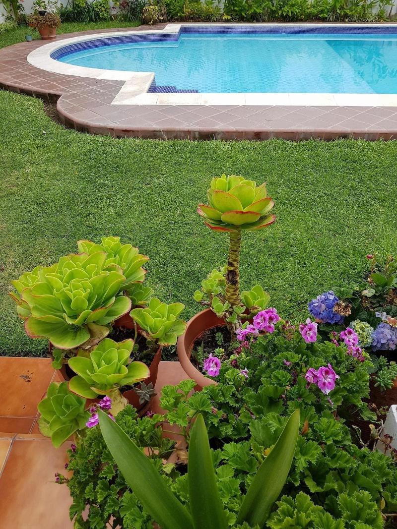 Perla Maya Hotel image
