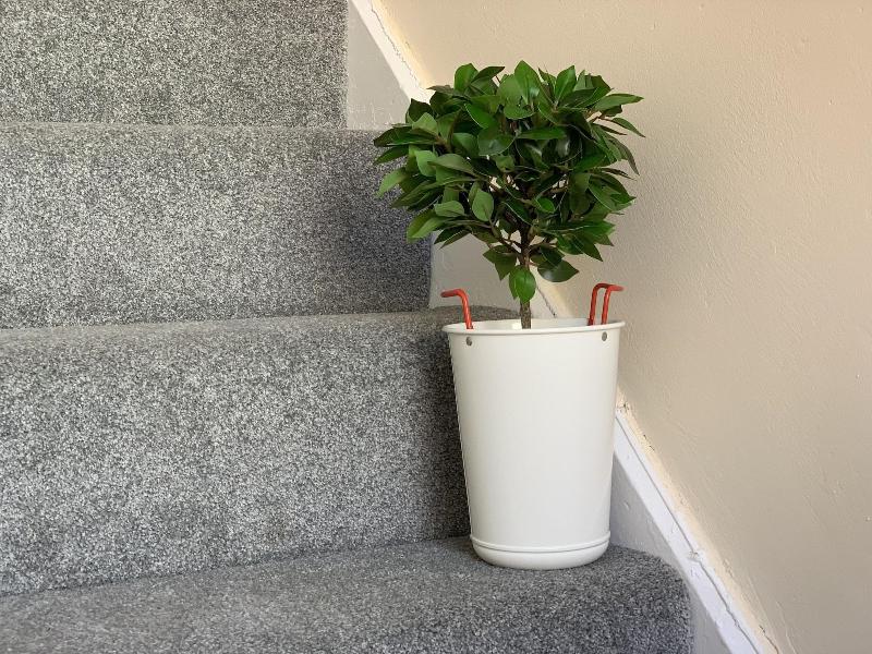 Buccleuch Apartment image