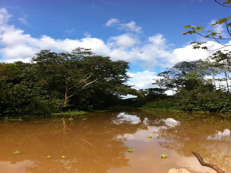 Yanayacu River Lodge image