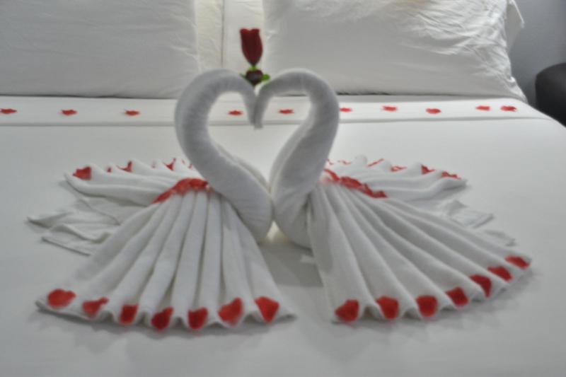 Maya Bella Downtown Hotel image