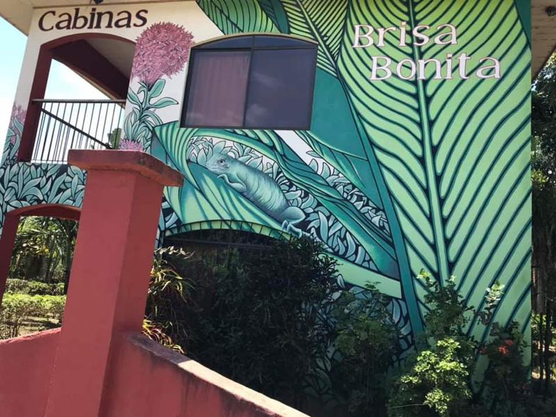 Aparthotel Brisa Bonita — photo 3