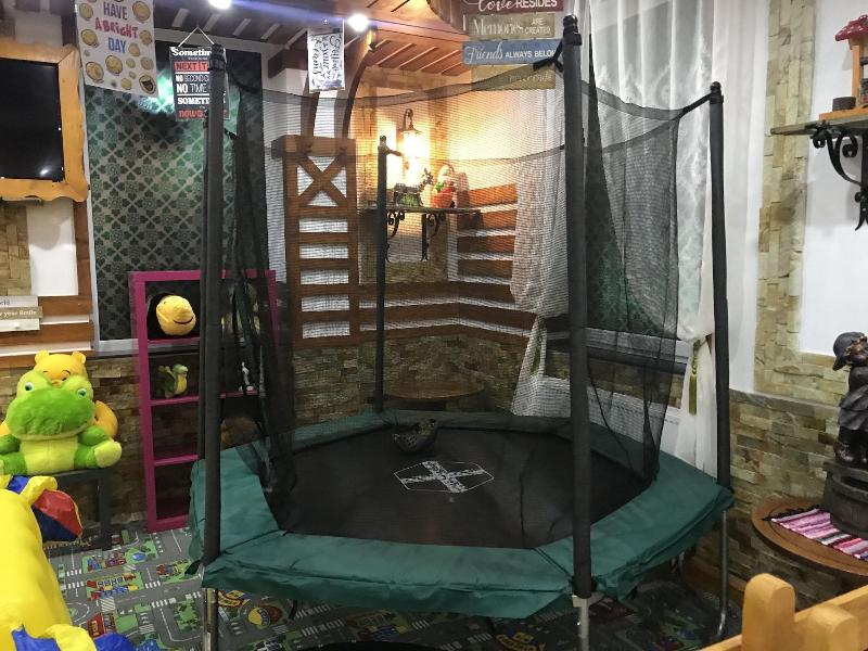 Cabana Sura Getilor Arinis image