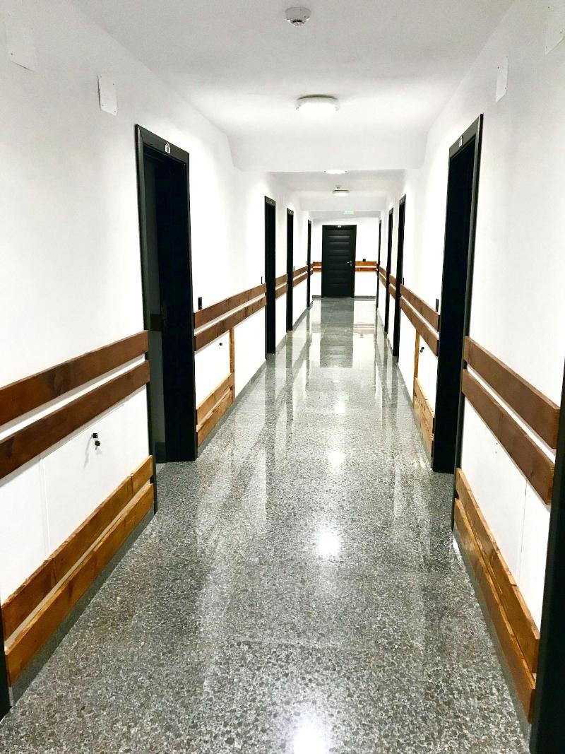 Cabana Sura Getilor Arinis image