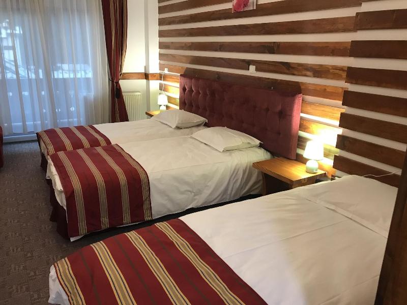 Cabana Sura Getilor Arinis image