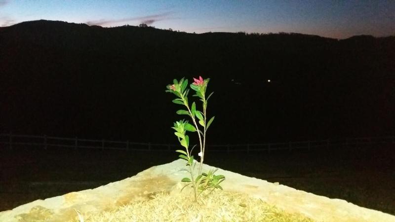 Pousada Vista do ParaÃ­so