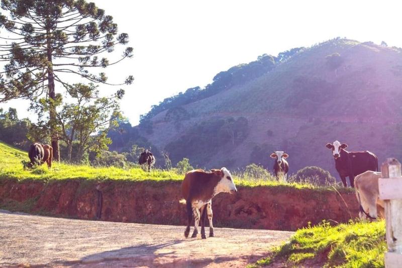 Pousada Vista do ParaÃ­so