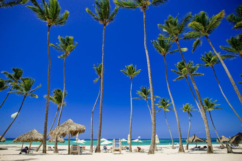 Best Family Vacation Apartment for Rent image