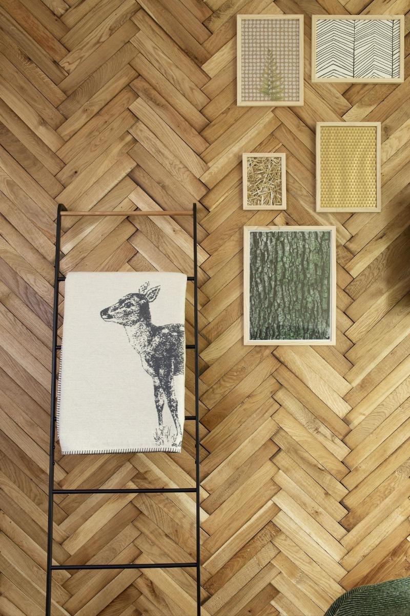 Green Deer Premium image