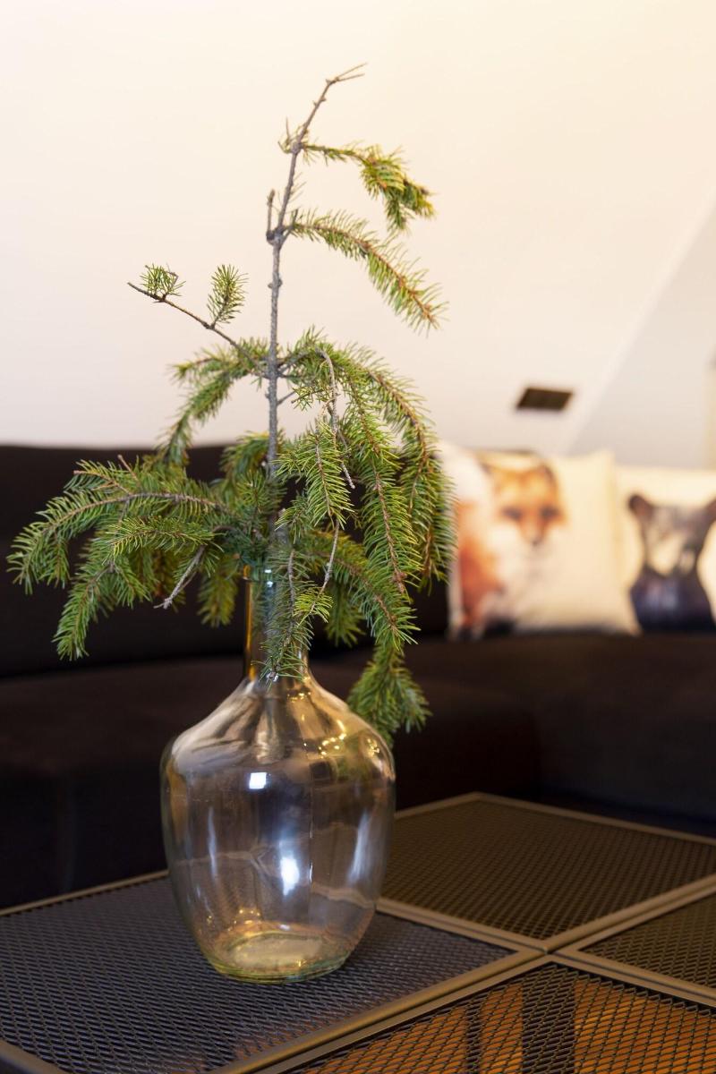 Green Deer Premium image