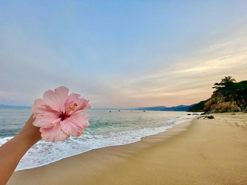 Amaca Beach Retreat - Puerto Vallarta South Shor image