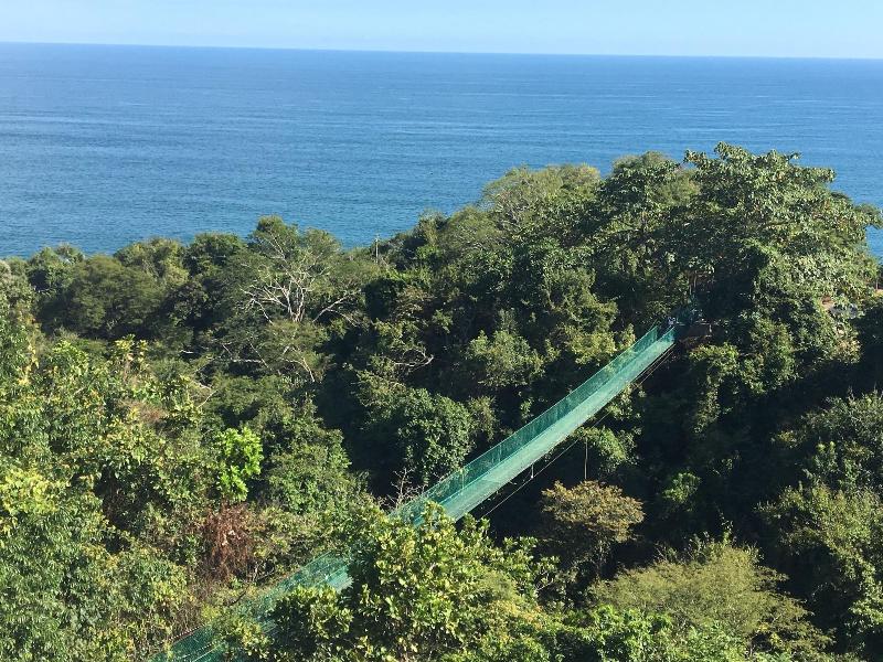 Sunshine Sanctuary image