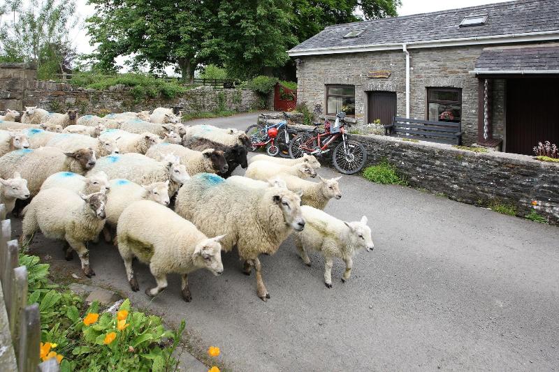 Swansea Valley Holiday Cottages image