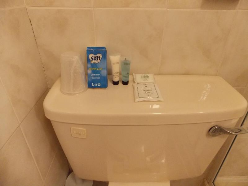 Selenite Guest House image