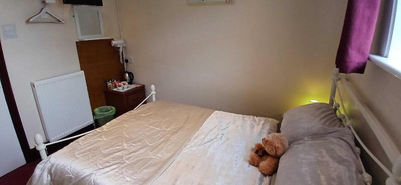 Selenite Guest House image