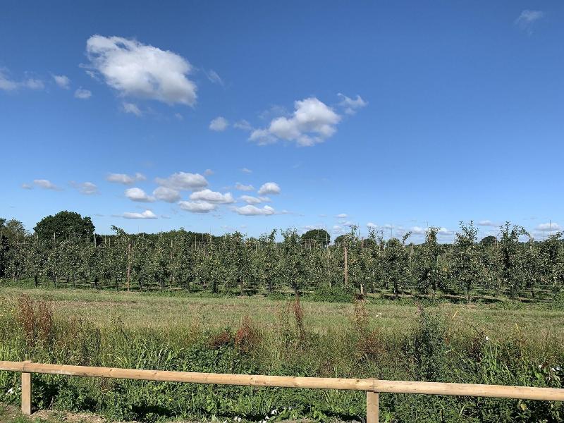 Blackberry Cottage image
