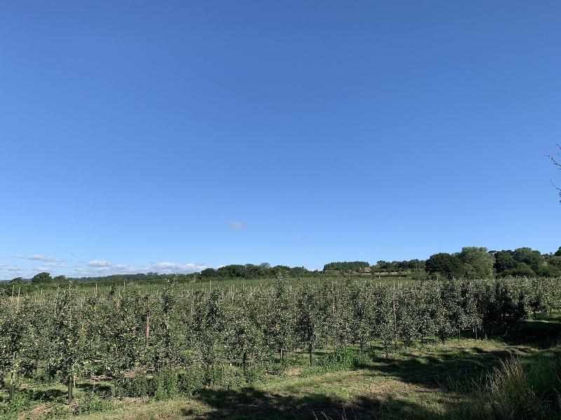 Blackberry Cottage image