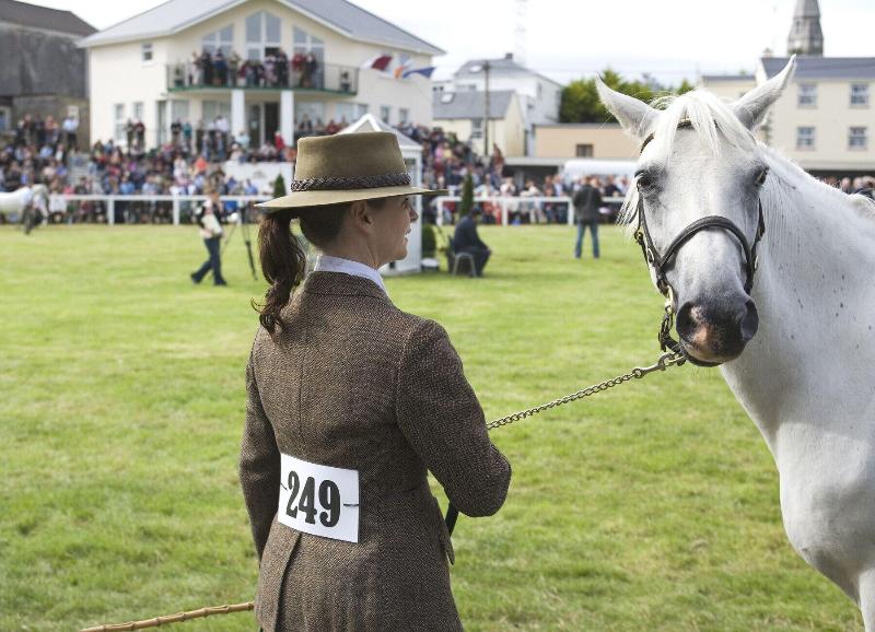Galway Bay Lodge image