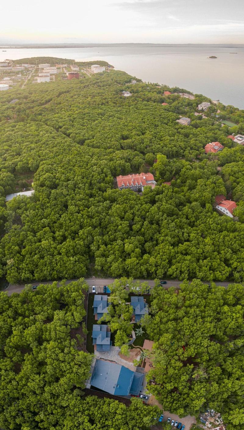 Utopia Forest image