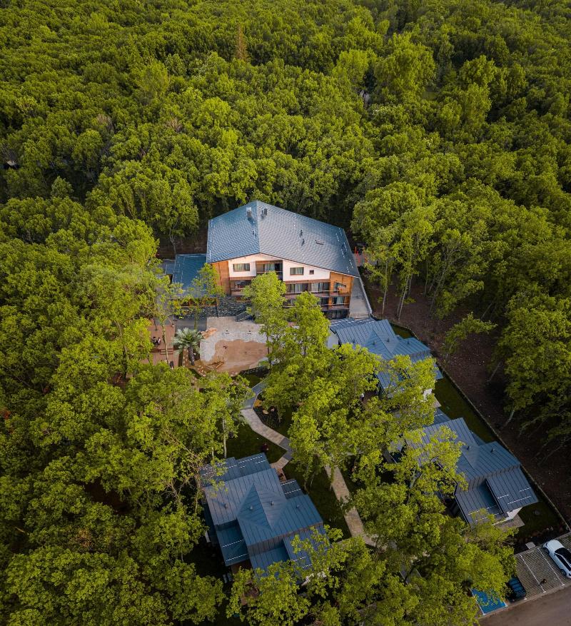 Utopia Forest image
