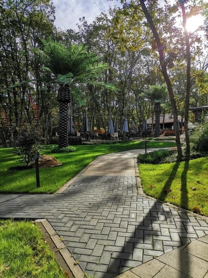 Utopia Forest image