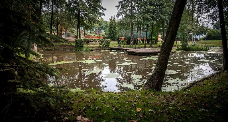 Akademia KuraszkÃ³w