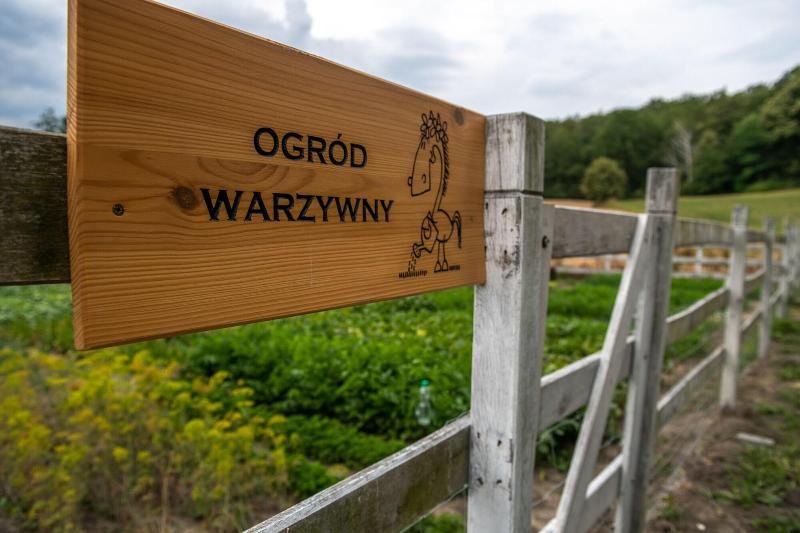 Akademia KuraszkÃ³w