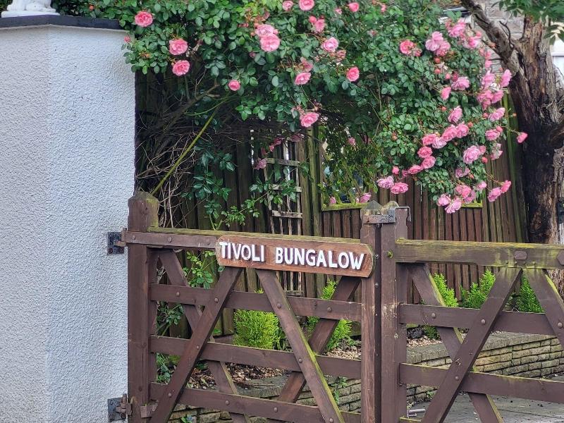 Tivoli Bungalow image