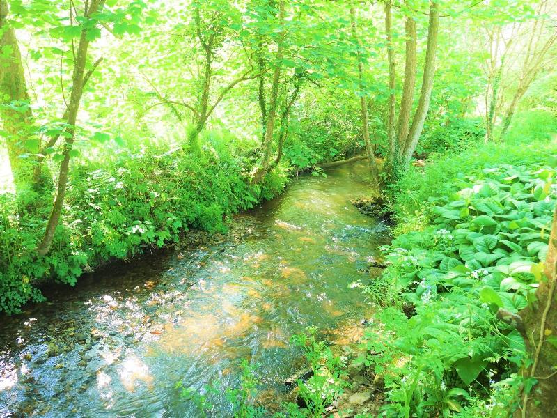 The Wriggly Tin at Tregoose Old Mill image