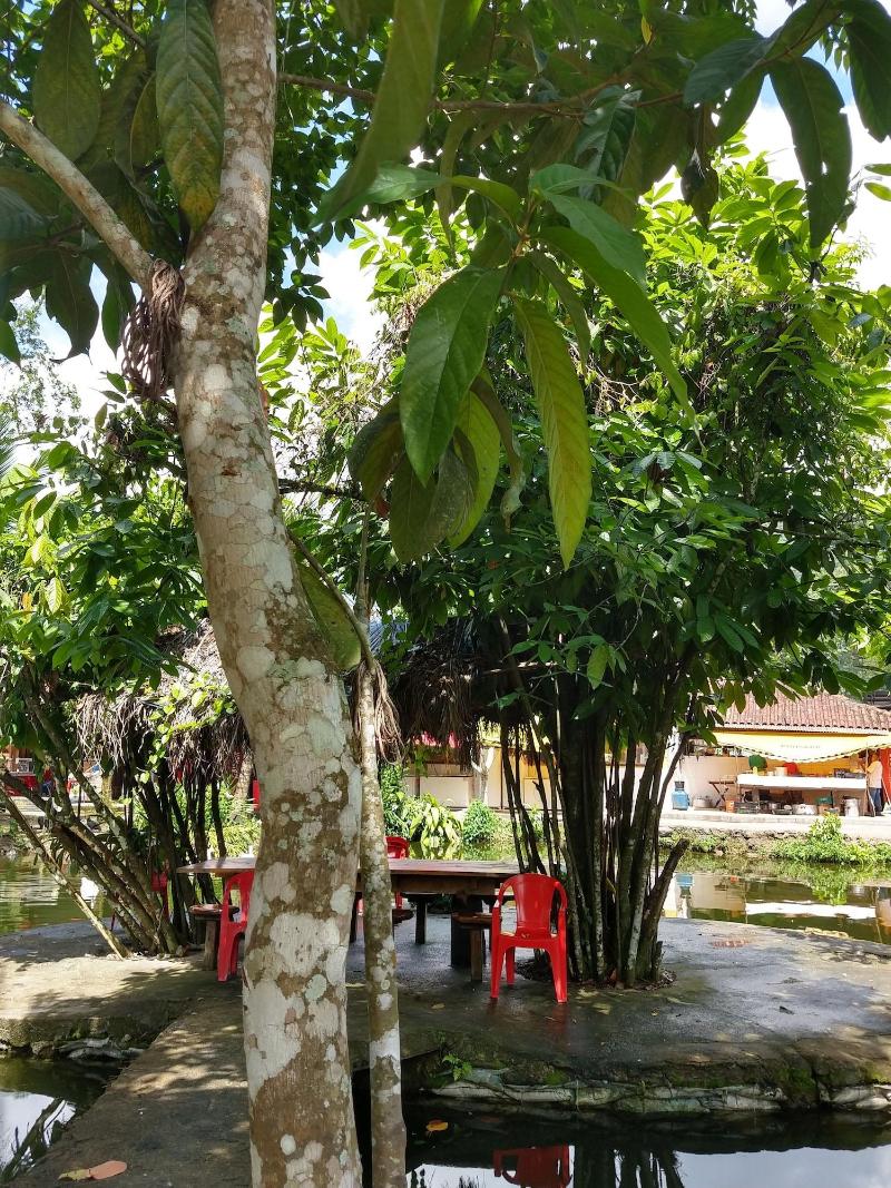 Rancho Texas Ubatuba image