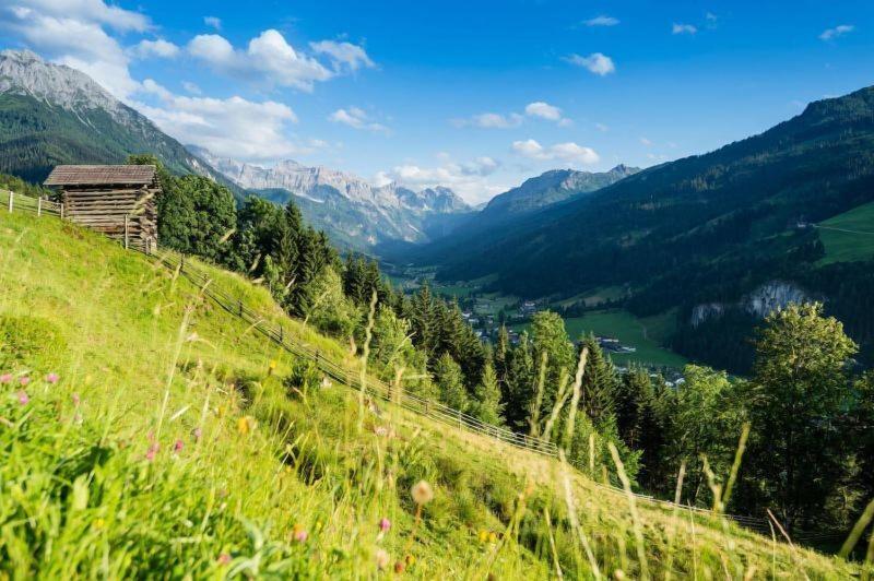 Hotel Alpina image