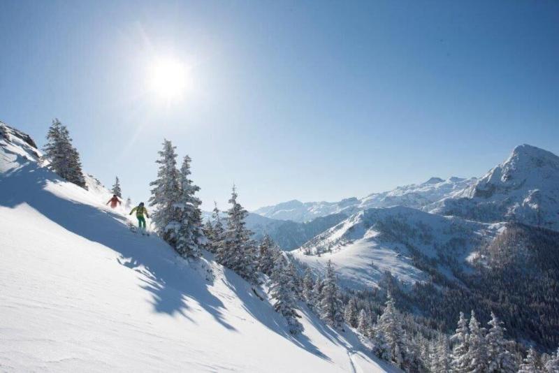 Hotel Alpina image