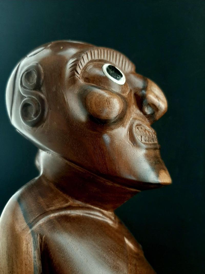 CabaÃ±as Te Maori image
