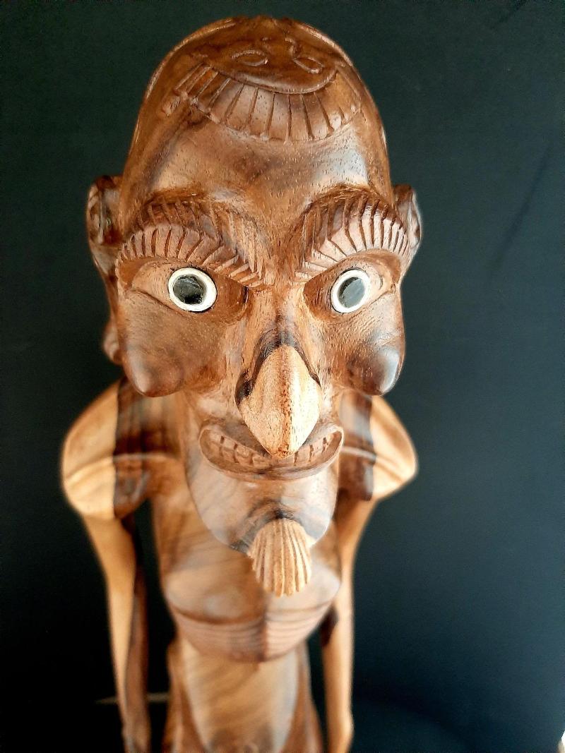 CabaÃ±as Te Maori image