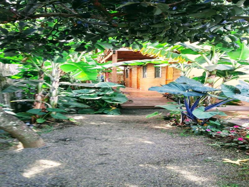 CabaÃ±as Te Maori image