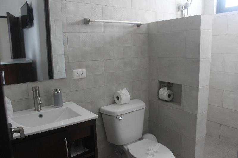 Regina Hotel image