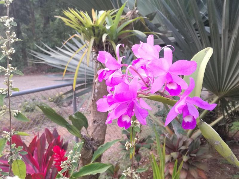 Cabinas Ecogarden Arenal image