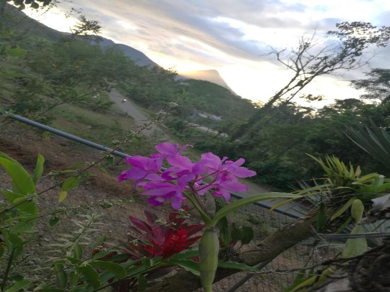 Cabinas Ecogarden Arenal image
