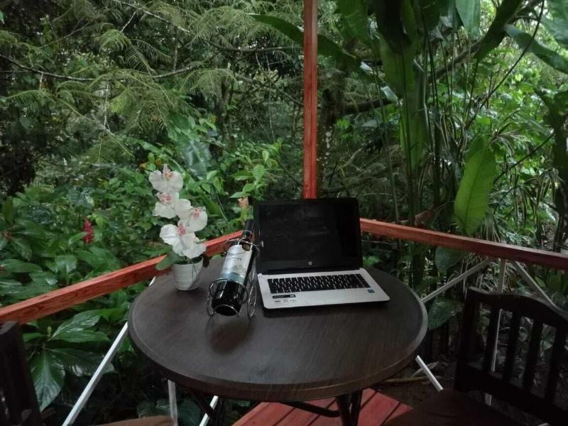 Cabinas Ecogarden Arenal image
