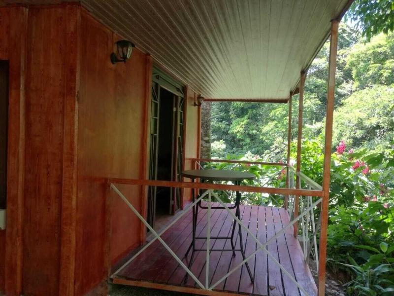 Cabinas Ecogarden Arenal image