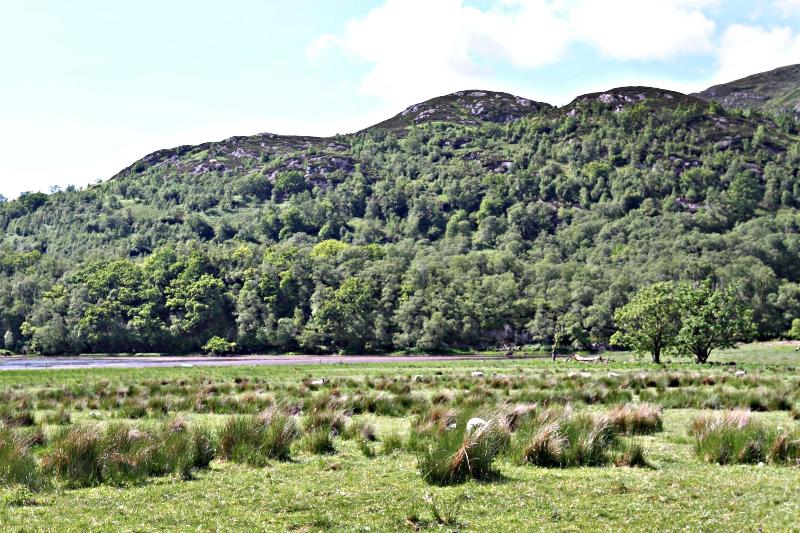 Stob Binnein Cottage image