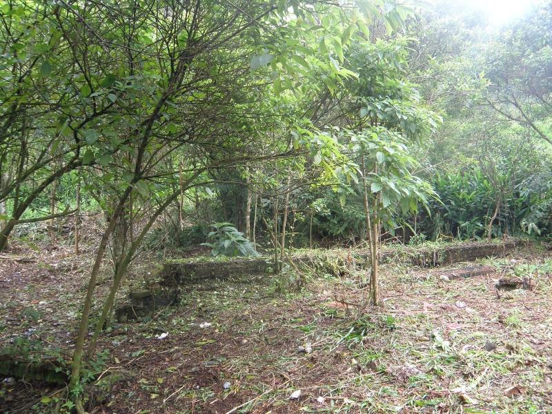 Pousada Avalon Paranapiacaba image