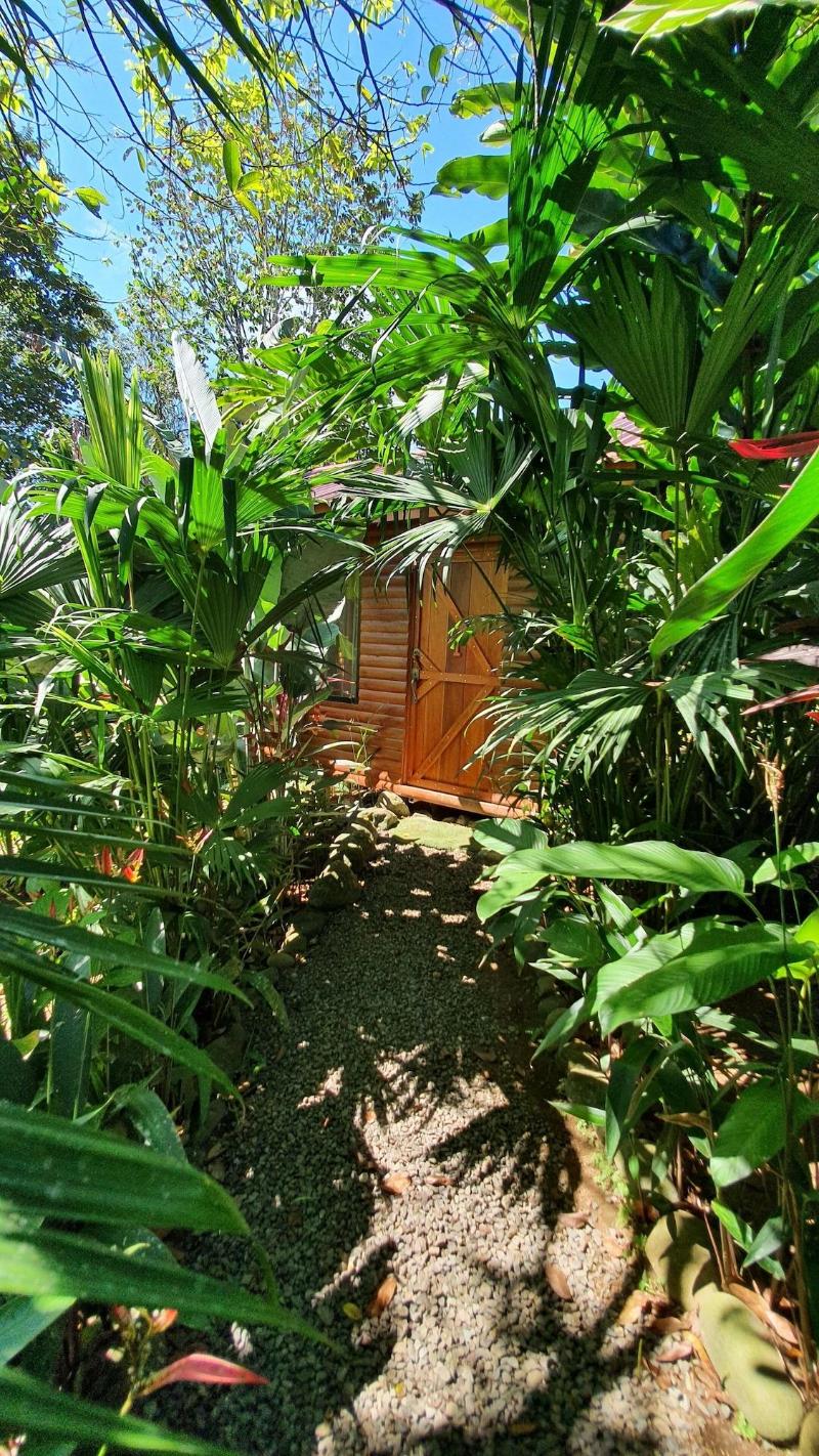 Arenal Rustic Lodge image