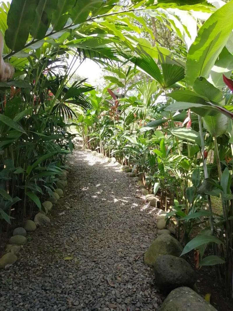 Arenal Rustic Lodge image