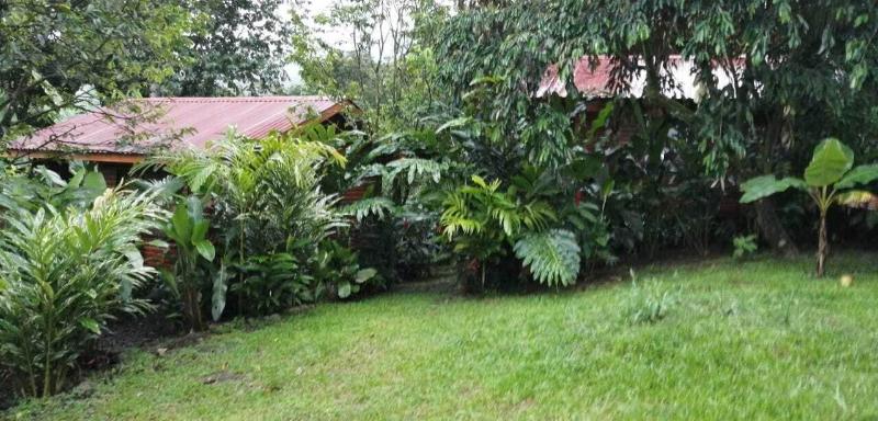 Arenal Rustic Lodge image