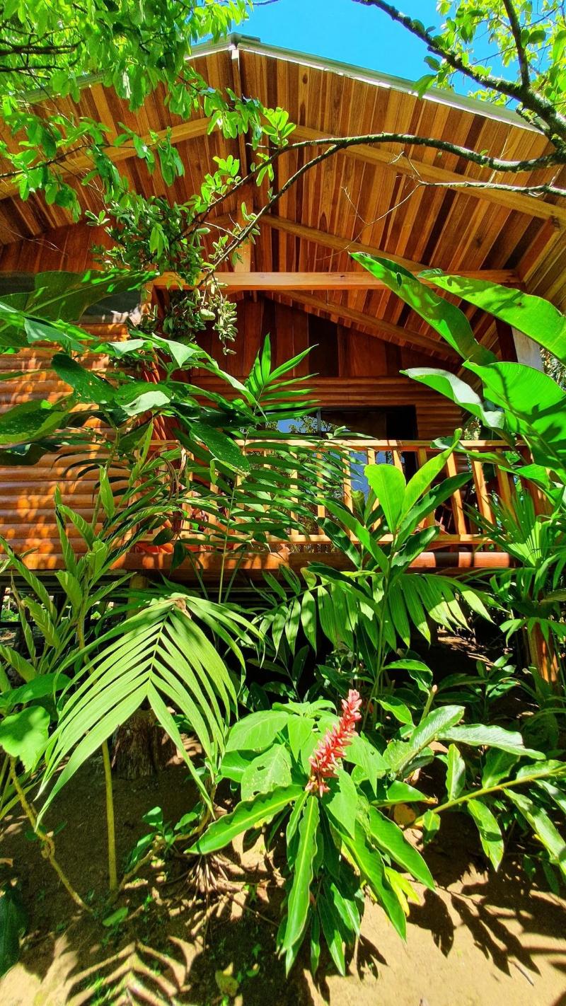 Arenal Rustic Lodge image
