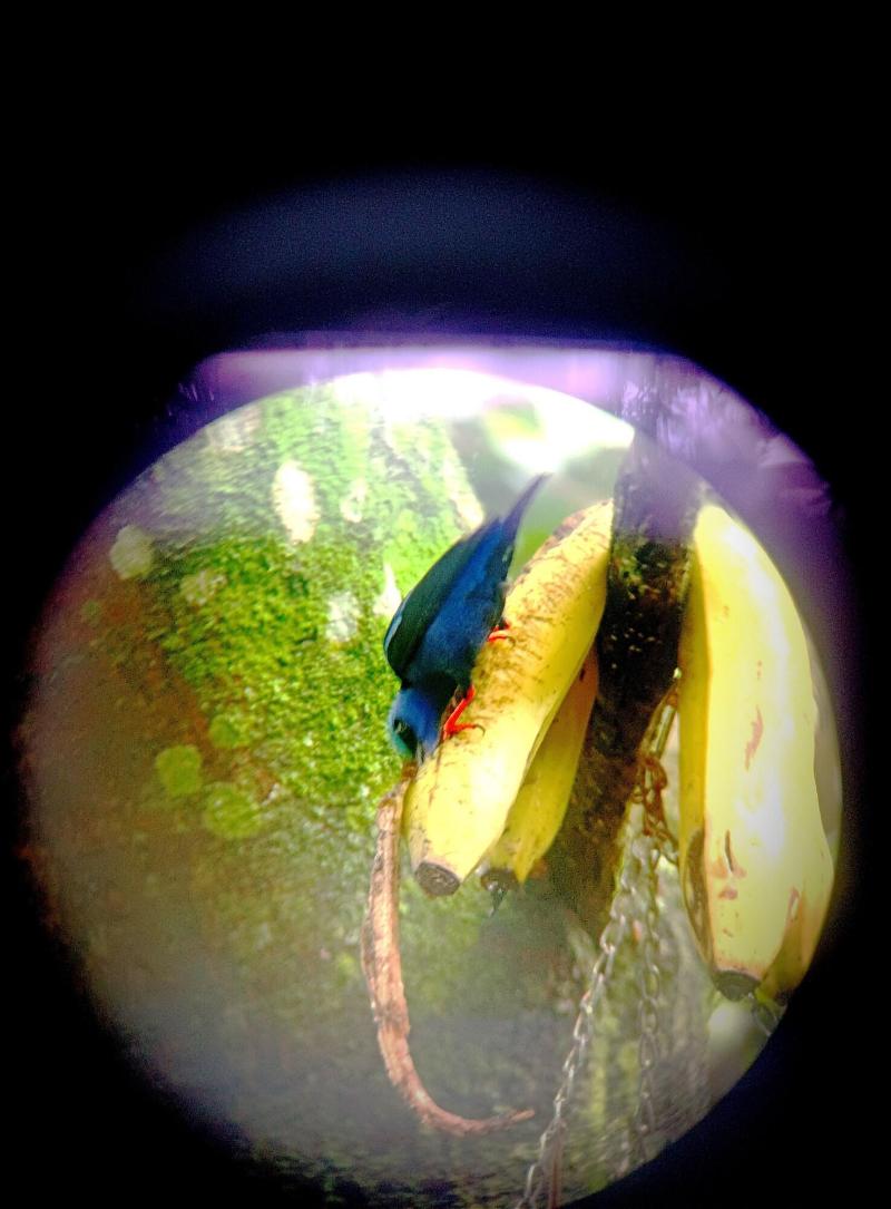 Arenal Rustic Lodge image