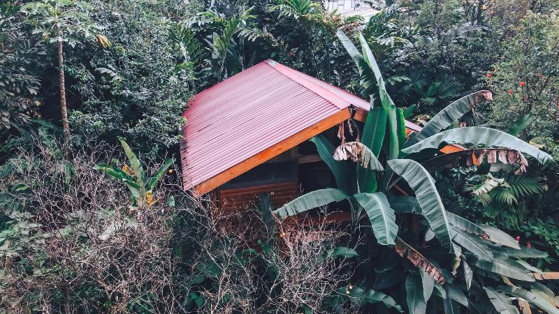 Arenal Rustic Lodge image