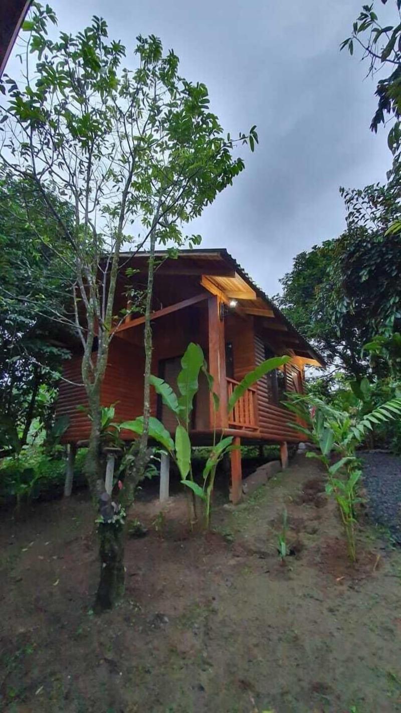 Arenal Rustic Lodge image
