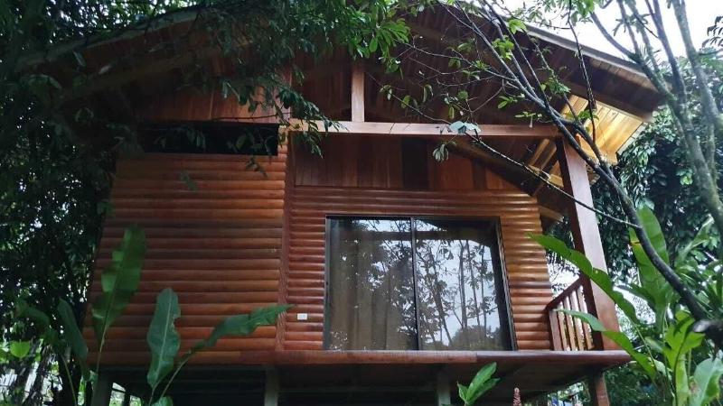 Arenal Rustic Lodge image